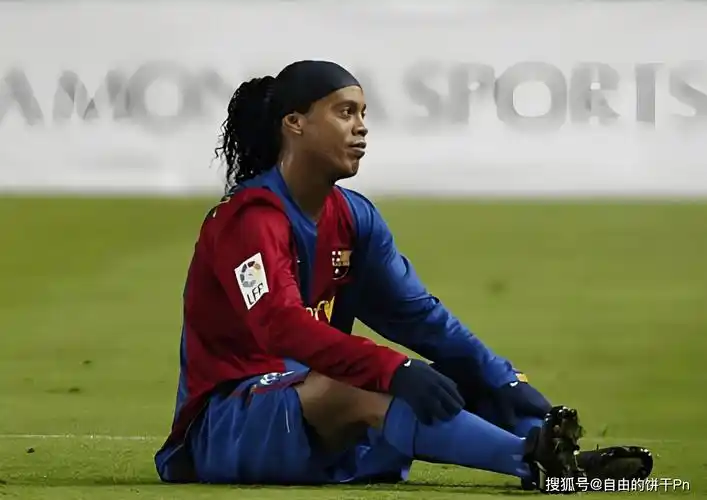 他们可能会 他们可能会