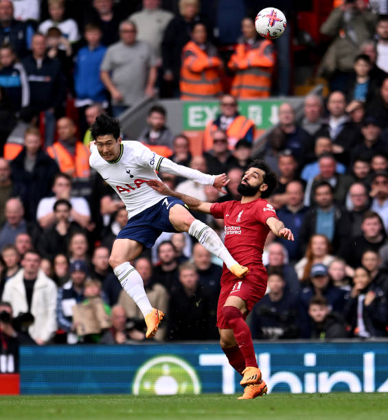 最古老的足 最古老的足