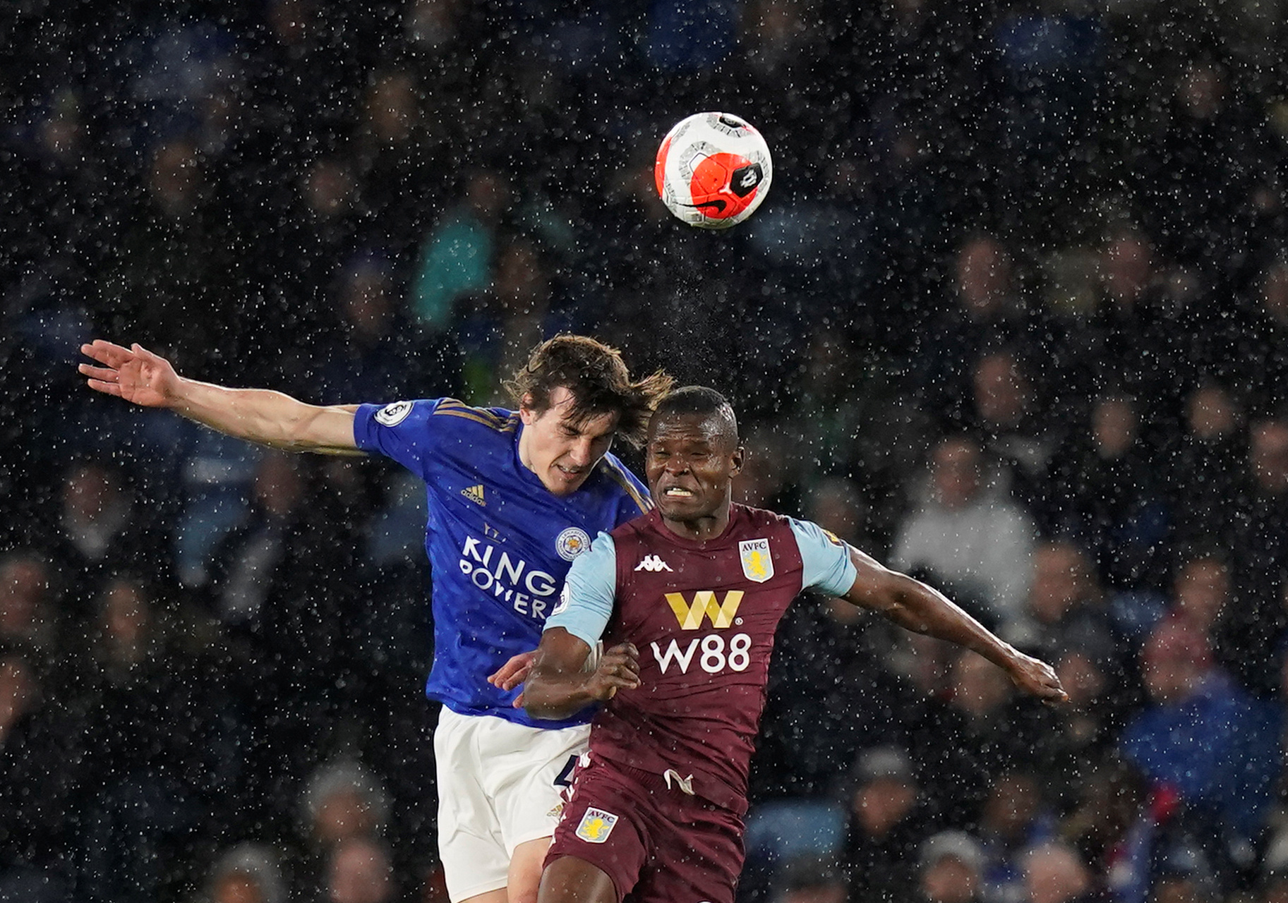 野生西瓜 野生西瓜