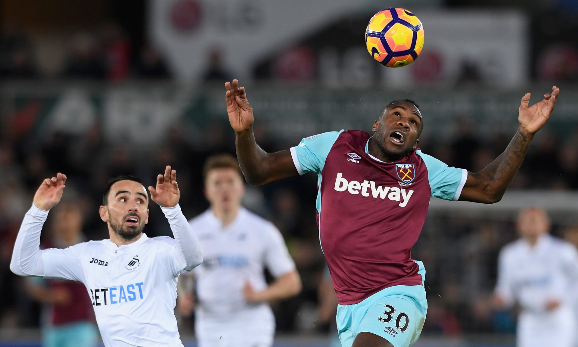 在背靠背比 在背靠背比